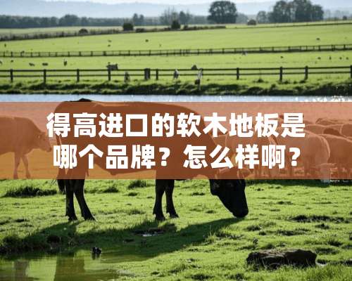 得高进口的软木地板是哪个品牌？怎么样啊？