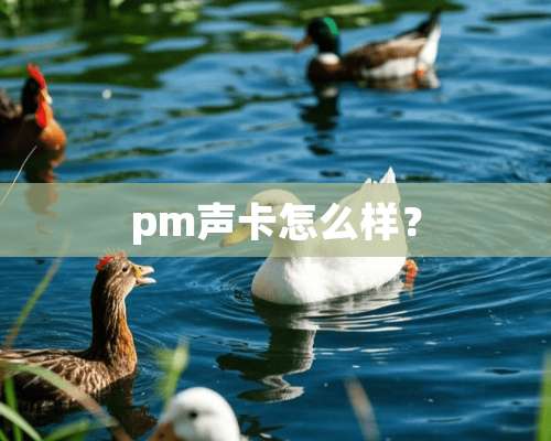 pm声卡怎么样？