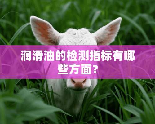 润滑油的检测指标有哪些方面？