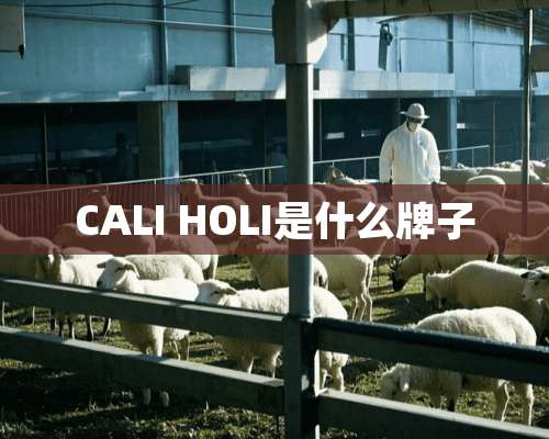 CALI HOLI是什么牌子