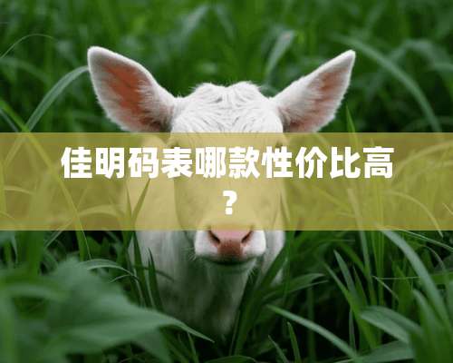 佳明码表哪款性价比高？