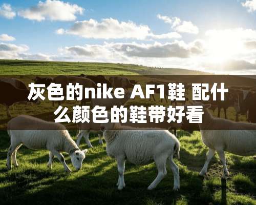 灰色的nike AF1鞋 配什么颜色的鞋带好看