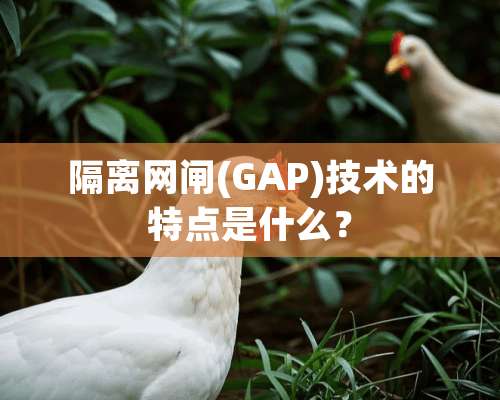 隔离网闸(GAP)技术的特点是什么？