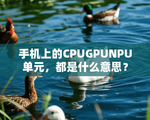 手机上的CPUGPUNPU单元，都是什么意思？