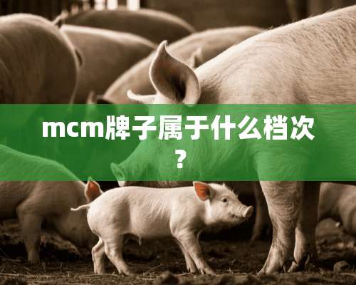 mcm牌子属于什么档次？