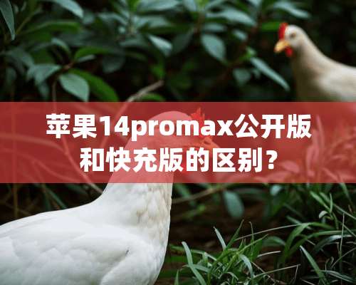 苹果14promax公开版和快充版的区别？