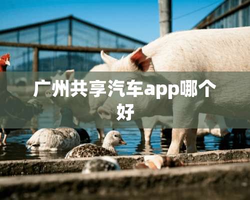 广州共享汽车app哪个好