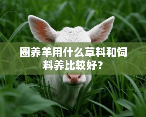 圈养羊用什么草料和饲料养比较好？