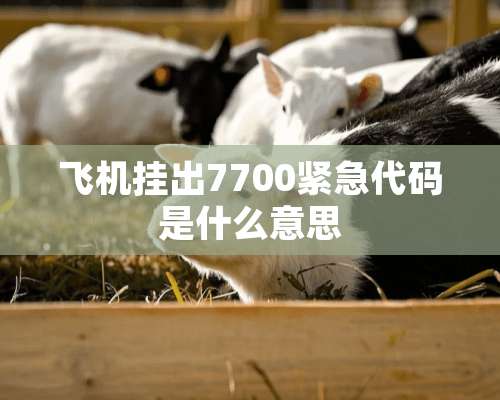 飞机挂出7700紧急代码是什么意思