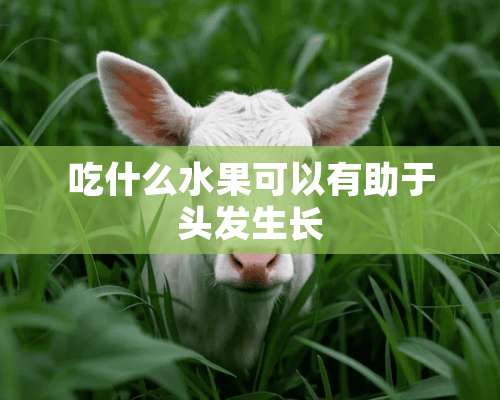 吃什么水果可以有助于头发生长