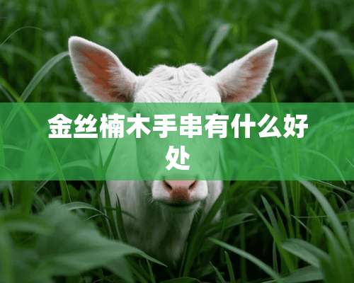 金丝楠木手串有什么好处