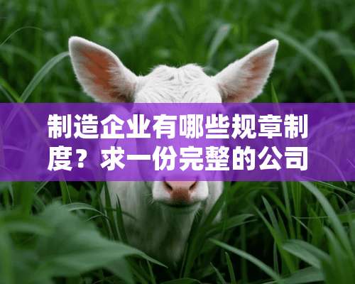 制造企业有哪些规章制度？求一份完整的公司级和部门级规章制度目录，要全面的，不要有漏的，谢谢！