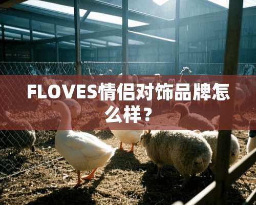 FLOVES情侣对饰品牌怎么样？