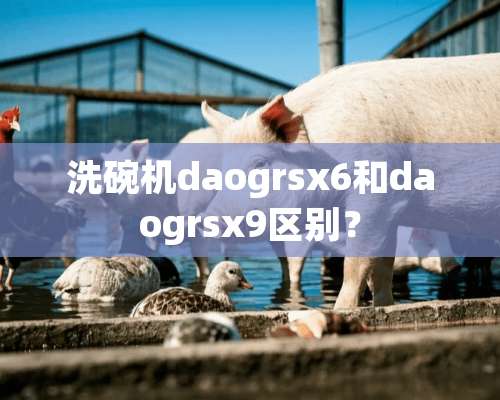 洗碗机daogrsx6和daogrsx9区别？