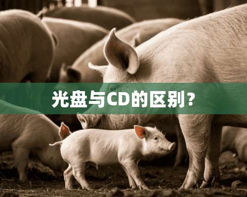 光盘与CD的区别？