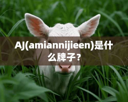 AJ(amiannijieen)是什么牌子？