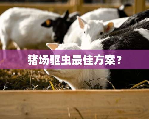 猪场驱虫最佳方案？