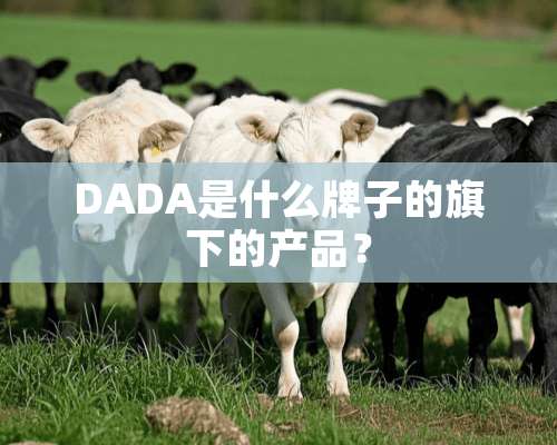 DADA是什么牌子的旗下的产品？