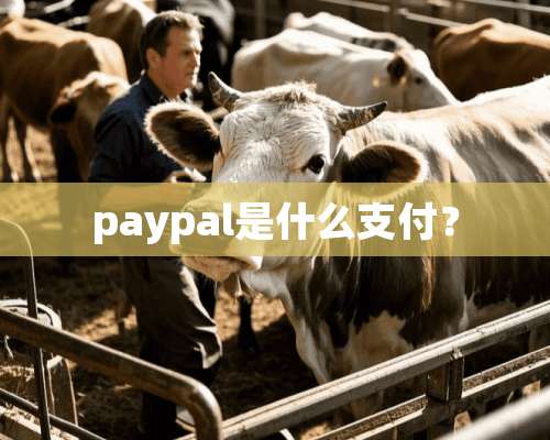 paypal是什么支付？