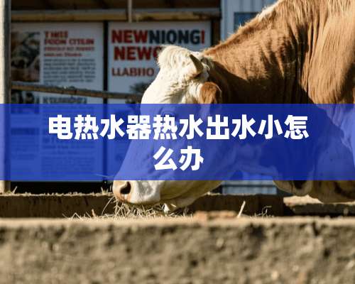 电热水器热水出水小怎么办