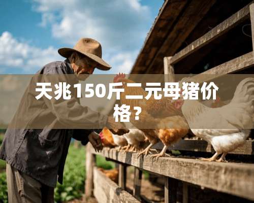 天兆150斤二元母猪价格？