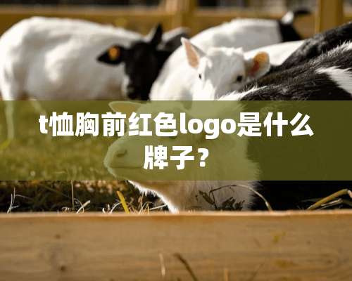 t恤胸前红色logo是什么牌子？