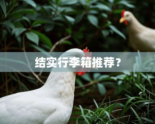 结实行李箱推荐？