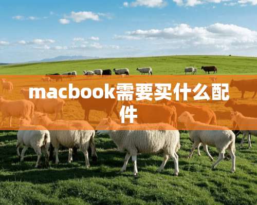 macbook需要买什么配件