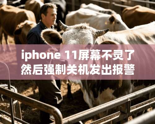 iphone 11屏幕不灵了然后强制关机发出报警声是什么原因？