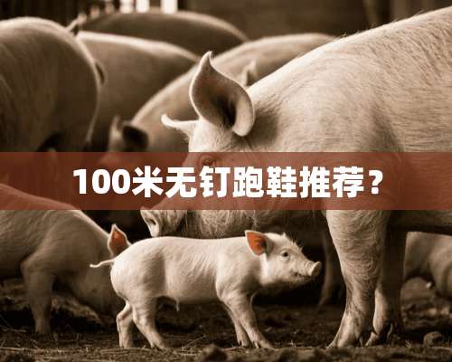 100米无钉跑鞋推荐？