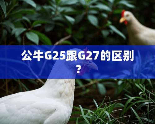 公牛G25跟G27的区别？