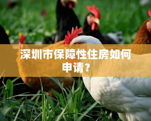 深圳市保障性住房如何申请？