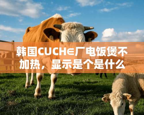 韩国CUCH∈厂电饭煲不加热，显示是个是什么故障？