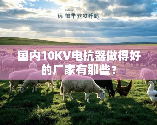 国内10KV电抗器做得好的厂家有那些？