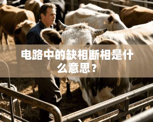 电路中的缺相断相是什么意思？