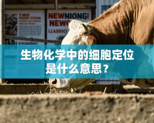 生物化学中的细胞定位是什么意思？