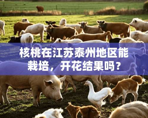 核桃在江苏泰州地区能栽培，开花结果吗？