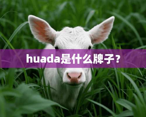 huada是什么牌子？