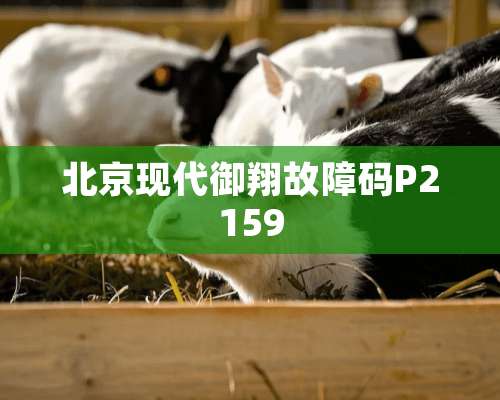 北京现代御翔故障码P2159