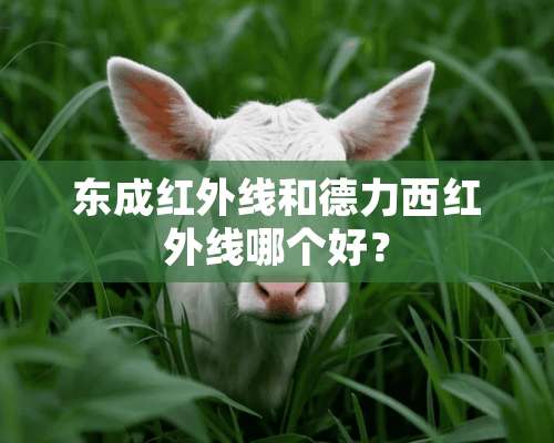 东成红外线和德力西红外线哪个好？