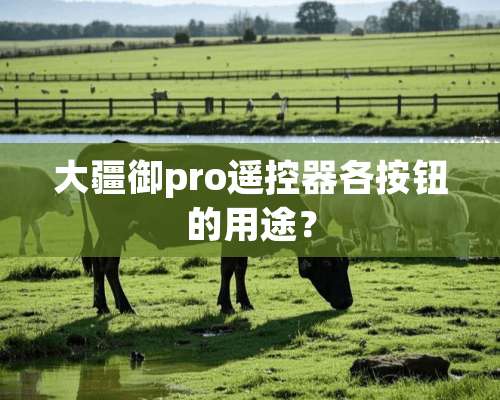 大疆御pro***各按钮的用途？