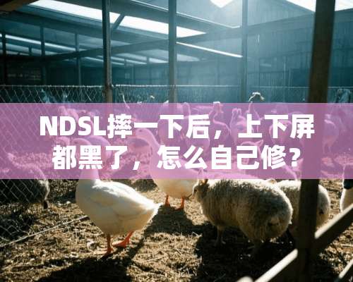 NDSL摔一下后，上下屏都黑了，怎么自己修？