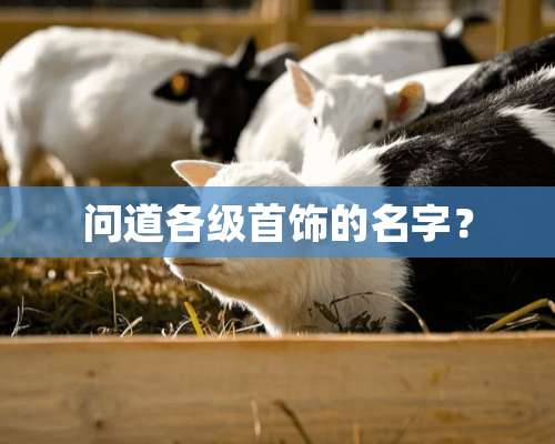 问道各级首饰的名字？