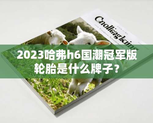 2023哈弗h6国潮冠军版轮胎是什么牌子？