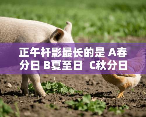 正午杆影最长的是 A春分日 B夏至日  C秋分日  D冬至日