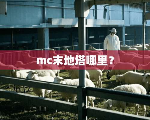 mc末地塔哪里？