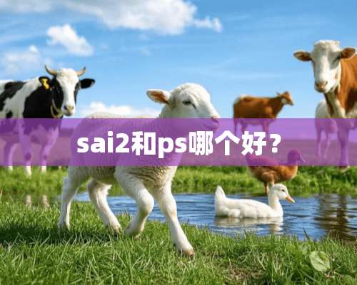 sai2和ps哪个好？