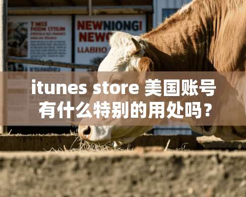 itunes store 美国账号 有什么特别的用处吗？