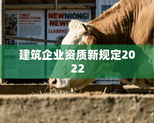 建筑企业资质新规定2022