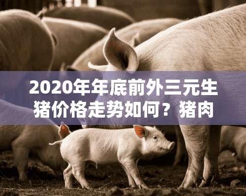 2020年年底前外三元生猪价格走势如何？猪肉会维持在多少钱一斤？